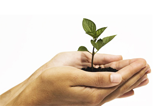 Lets Talk Cape Town Life Coach Luisa